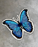 Butterfly Rug Blue
